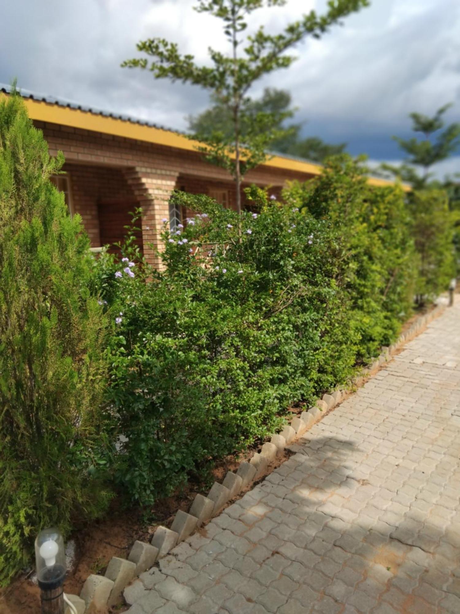 Sunshinevibe Guest House Касане Экстерьер фото